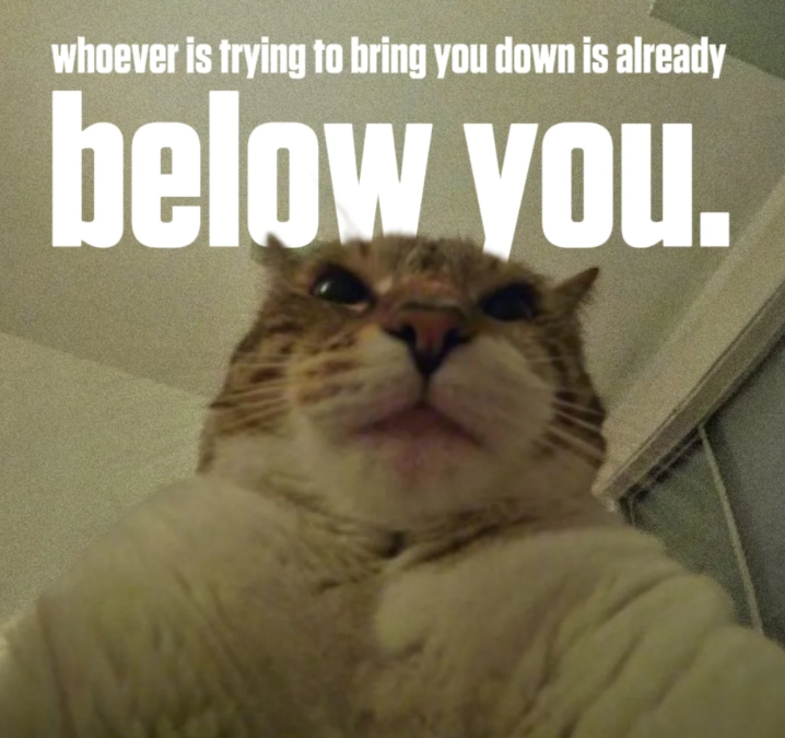 whoever is trying to bring you down is already below you.