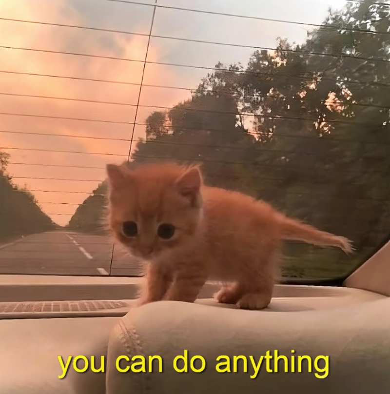 you can do anything