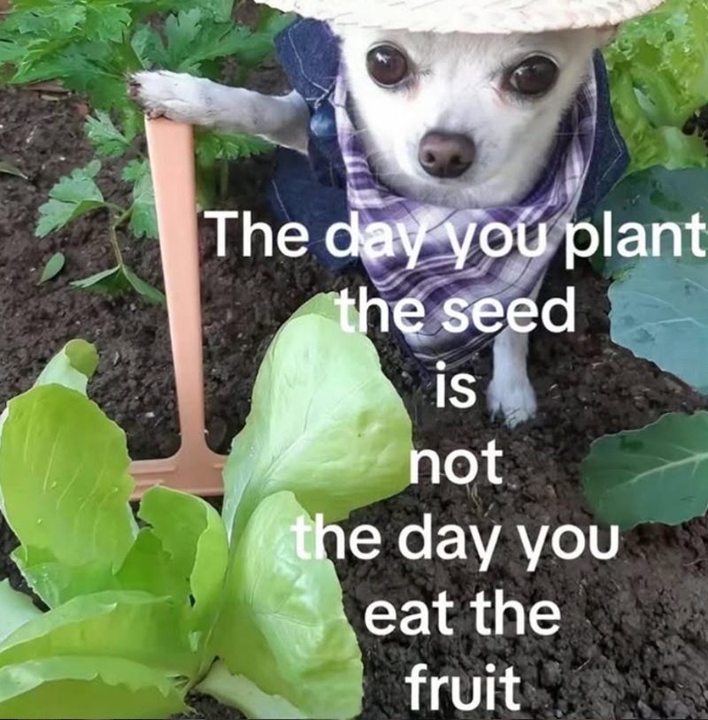 The day you plant the seed is not the day you eat the fruit