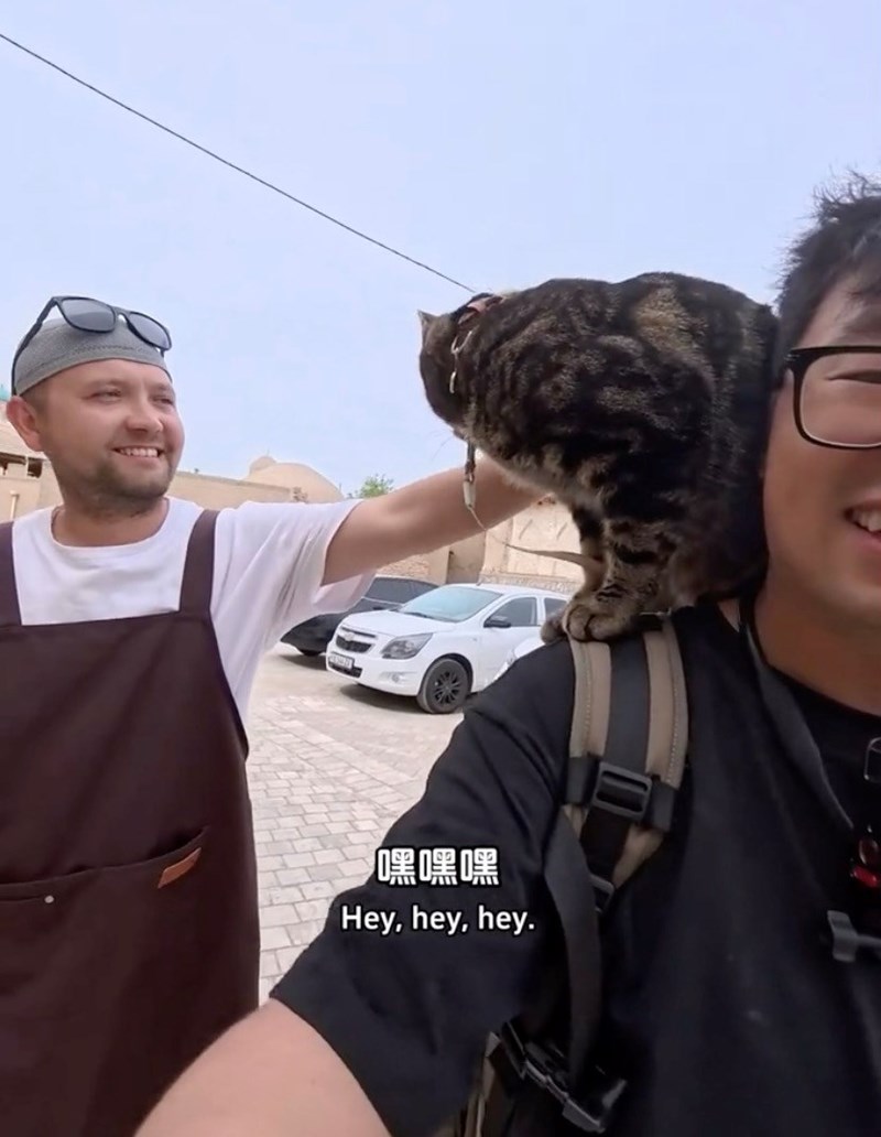 嘿嘿嘿 Hey, hey, hey.