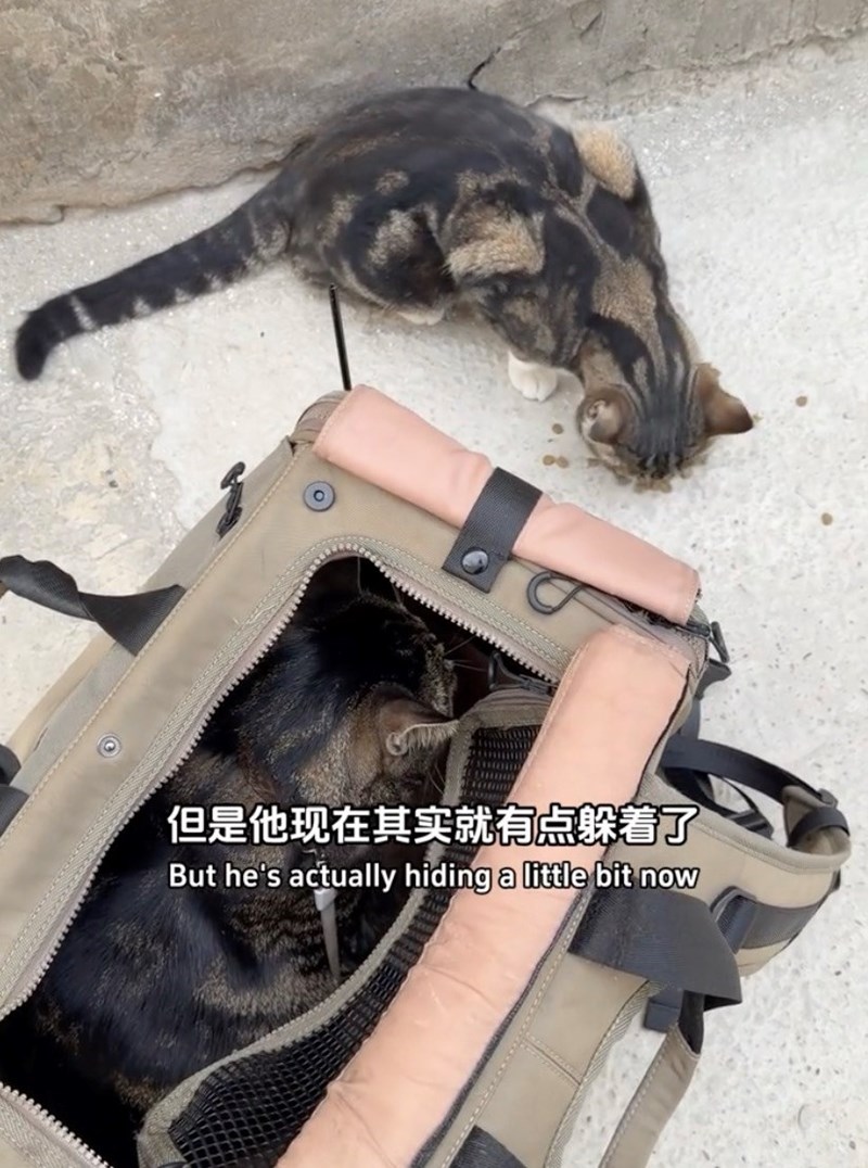但是他现在其实就有点躲着了 But he's actually hiding a little bit now