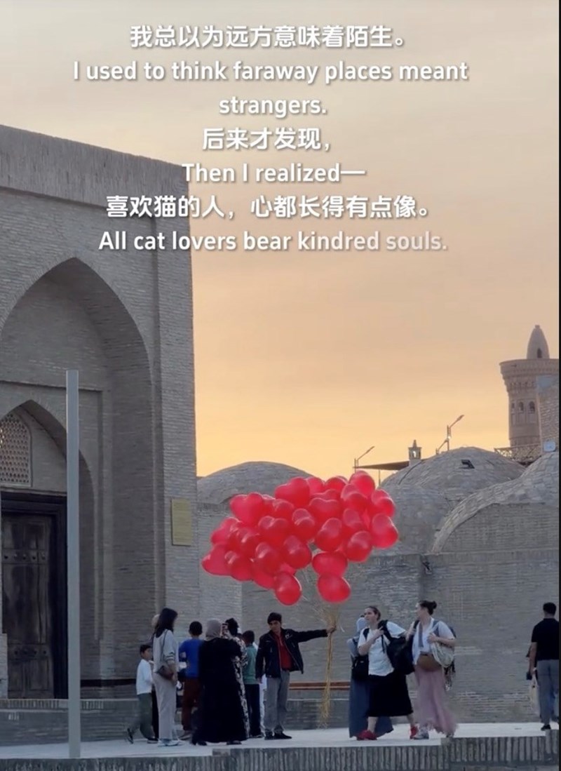 我总以为远方意味着陌生。 I used to think faraway places meant strangers. 后来才发现, Then I realized- 喜欢猫的人,心都长得有点像。 All cat lovers bear kindred souls.