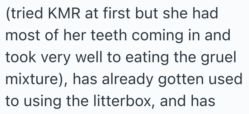 (tried KMR at first but she had most of her teeth coming in and took very well to eating the gruel mixture), has already gotten used to using the litterbox, and has