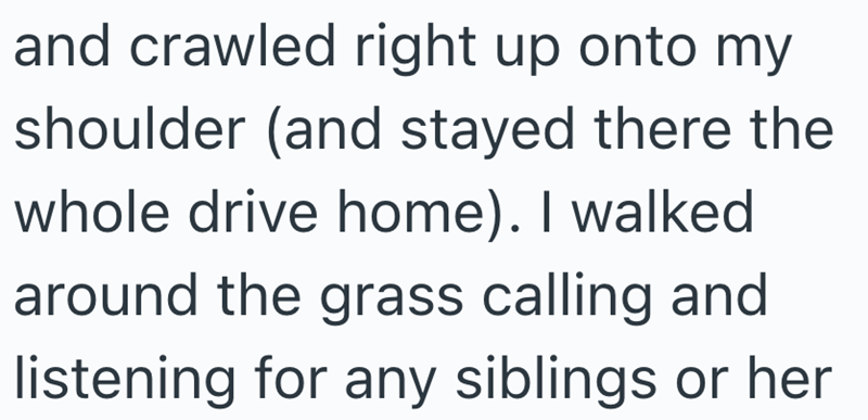 and crawled right up onto my shoulder (and stayed there the whole drive home). I walked around the grass calling and listening for any siblings or her