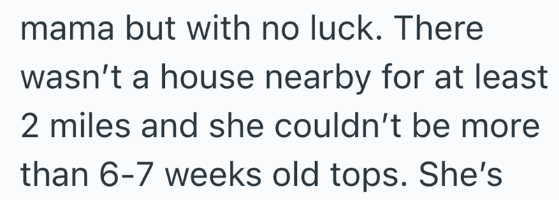 mama but with no luck. There wasn't a house nearby for at least 2 miles and she couldn't be more than 6-7 weeks old tops. She's