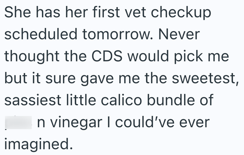 She has her first vet checkup scheduled tomorrow. Never thought the CDS would pick me but it sure gave me the sweetest, sassiest little calico bundle of In vinegar I could've ever imagined.
