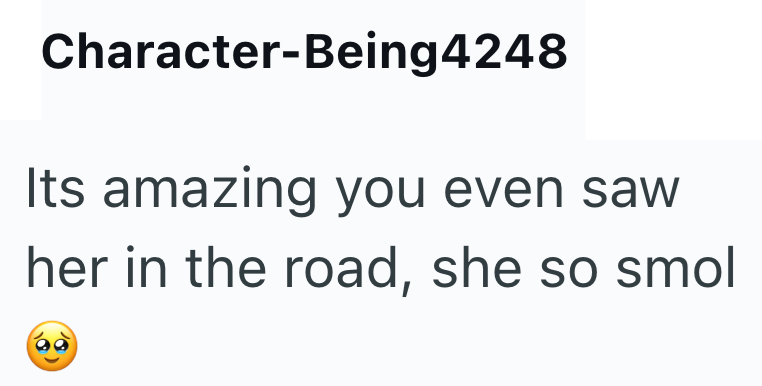 Character-Being4248 Its amazing you even saw her in the road, she so smol 68