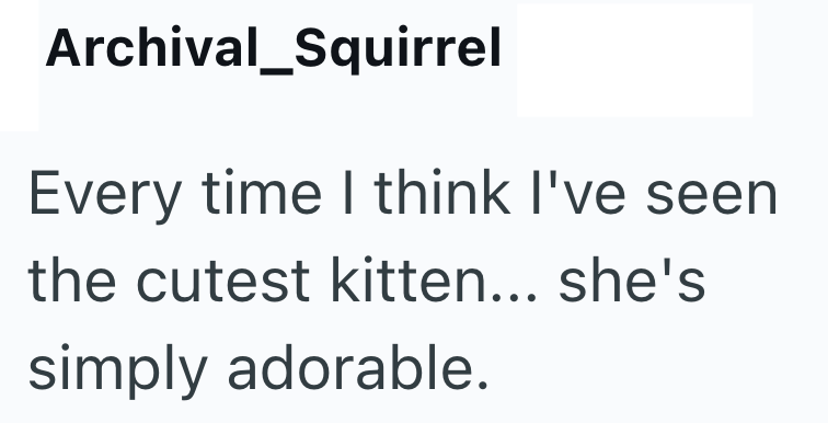 Archival_Squirrel Every time I think I've seen the cutest kitten... she's simply adorable.