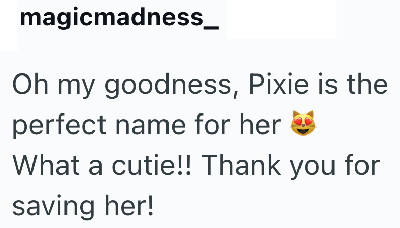magicmadness_ Oh my goodness, Pixie is the perfect name for her What a cutie!! Thank you for saving her!