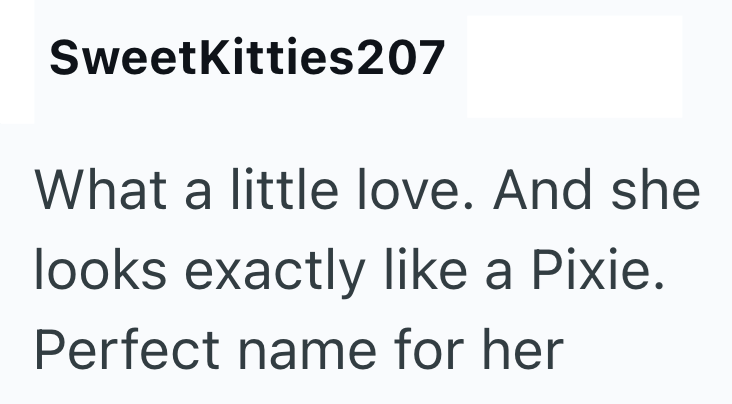 SweetKitties207 What a little love. And she looks exactly like a Pixie. Perfect name for her