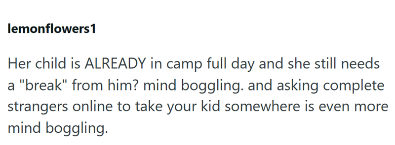lemonflowers1 Her child is ALREADY in camp full day and she still needs a "break" from him? mind boggling. and asking complete strangers online to take your kid somewhere is even more mind boggling.