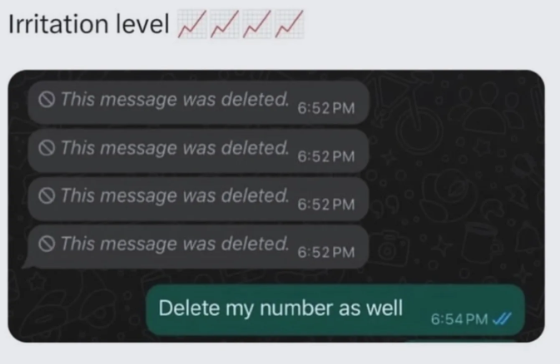 Irritation level ✓ N N This message was deleted. This message was deleted. This message was deleted. This message was deleted. 6:52 PM 6:52 PM 6:52 PM 6:52 PM Delete my number as well 6:54 PM