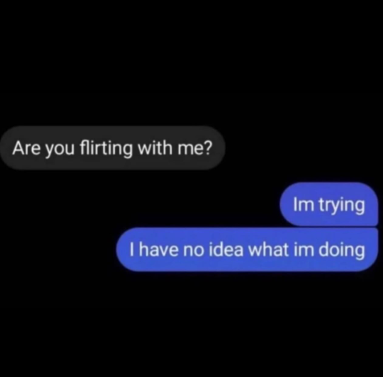 Are you flirting with me? Im trying I have no idea what im doing