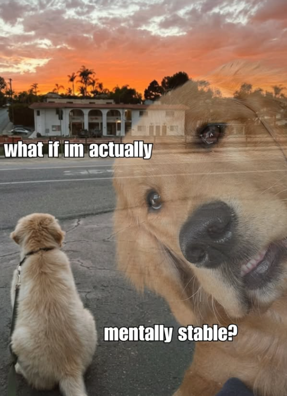what if im actually mentally stable?