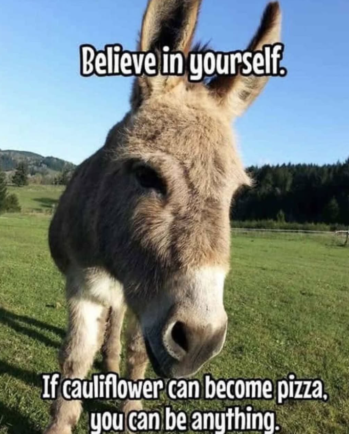 Believe in yourself. If cauliflower can become pizza. you can be anything.