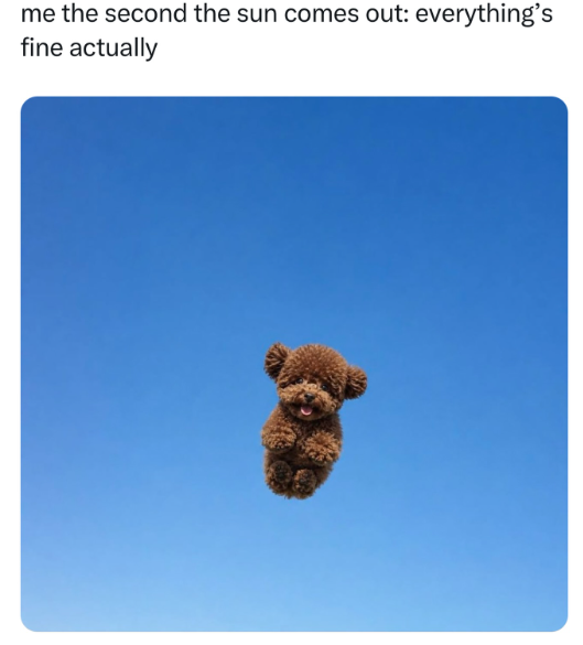 me the second the sun comes out: everything's fine actually