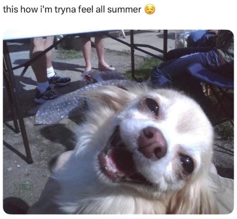 this how i'm tryna feel all summer