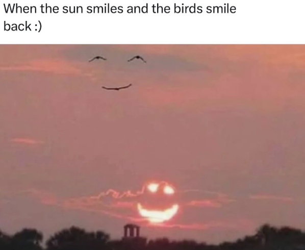 When the sun smiles and the birds smile back :)