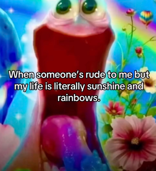 When someone's rude to me but my life is literally sunshine and rainbows.