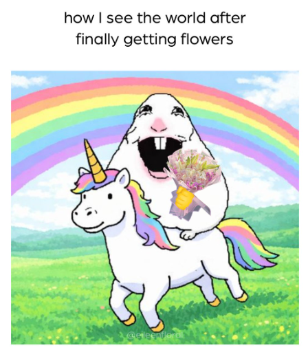 how I see the world after finally getting flowers @eleenderal