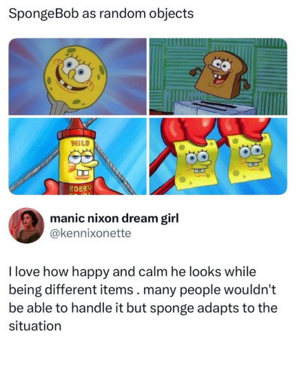 SpongeBob as random objects MILD BOBBY manic nixon dream girl @kennixonette I love how happy and calm he looks while being different items. many people wouldn't be able to handle it but sponge adapts to the situation