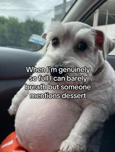 @sarcasm When I'm genuinely so full I can barely breath but someone mentions dessert