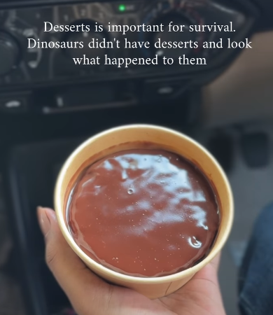 Desserts is important for survival. Dinosaurs didn't have desserts and look what happened to them