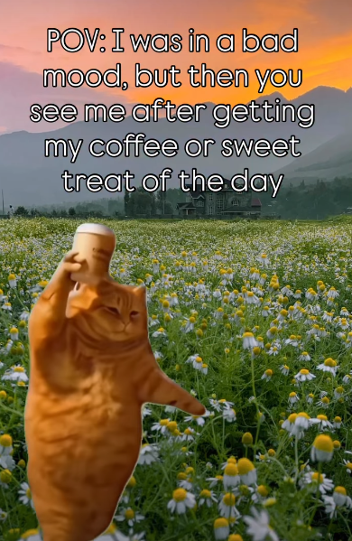 POV: I was in a bad mood, but then you see me after getting my coffee or sweet treat of the day