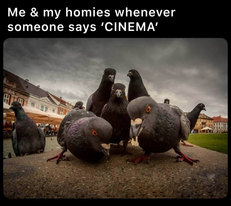 Me & my homies whenever someone says 'CINEMA'