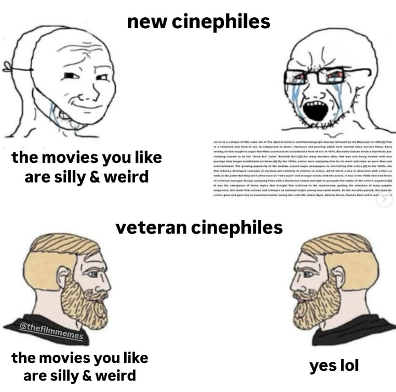 new cinephiles the movies you like are silly & weird veteran cinephiles @thefilmmemes the movies you like are silly & weird yes lol