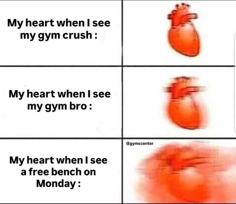 My heart when I see my gym crush: My heart when I see my gym bro: My heart when I see a free bench on Monday: gymscenter