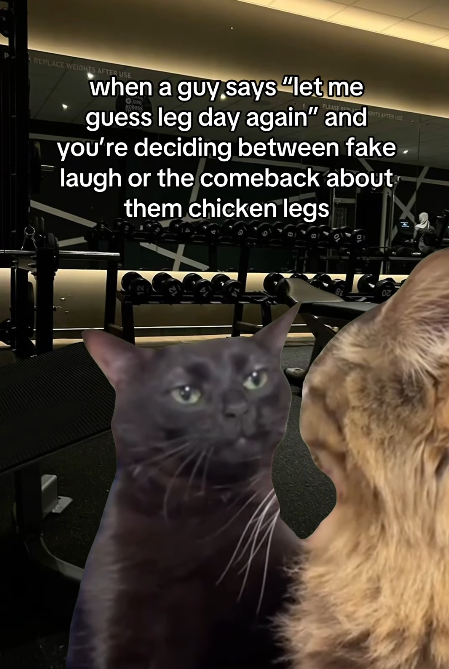 REPLACE WEIGHTS AFTER I when a guy says "let me guess leg day again" and you're deciding between fake. laugh or the comeback about them chicken legs