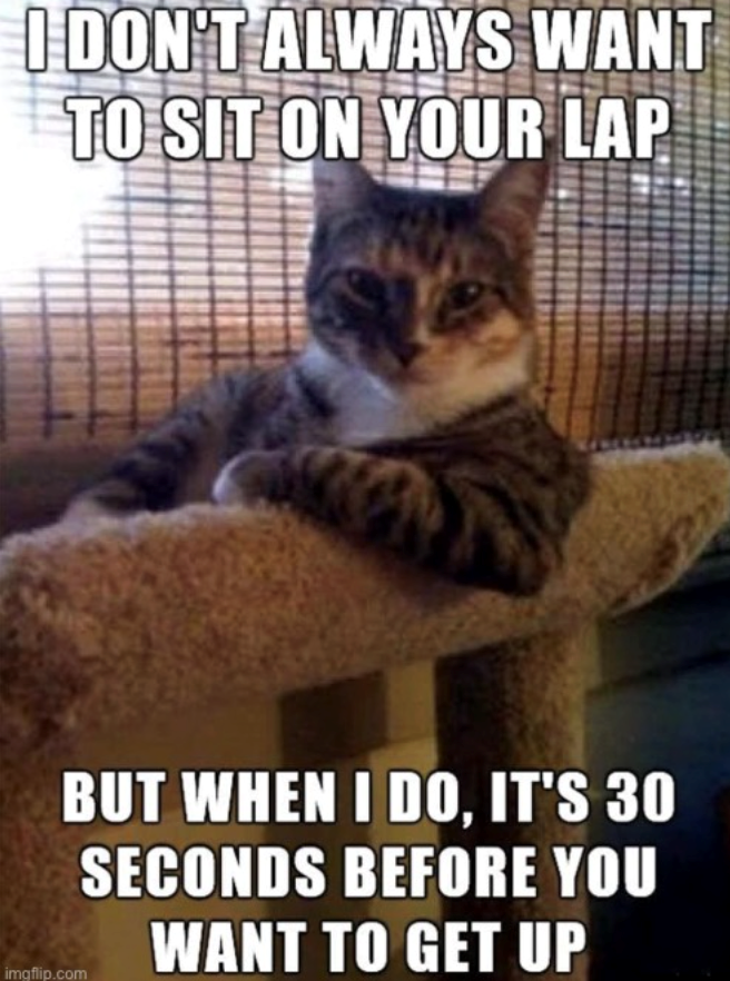 I DON'T ALWAYS WANT TO SIT ON YOUR LAP imgflip.com BUT WHEN I DO, IT'S 30 SECONDS BEFORE YOU WANT TO GET UP