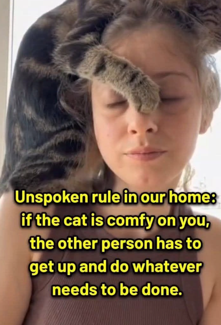 Unspoken rule in our home: if the cat is comfy on you, the other person has to get up and do whatever needs to be done.