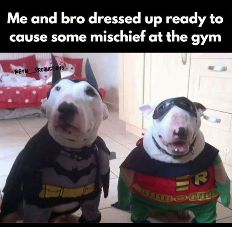 Me and bro dressed up ready to cause some mischief at the gym @GYM PRODUCTIONS ER