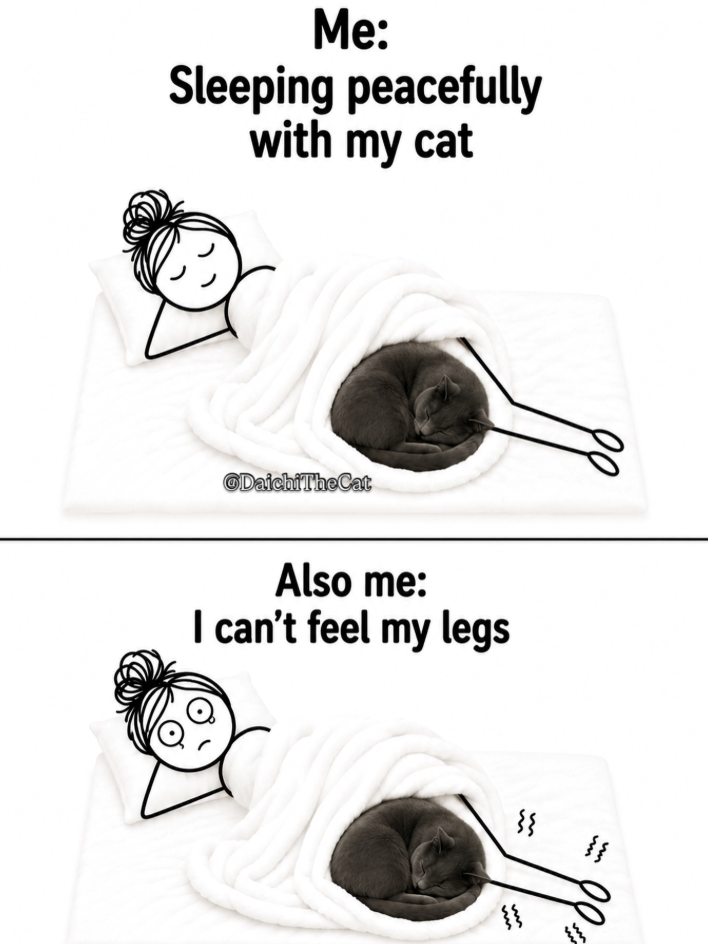 Me: Sleeping peacefully with my cat DaichiTheCat Also me: I can't feel my legs um m m m w