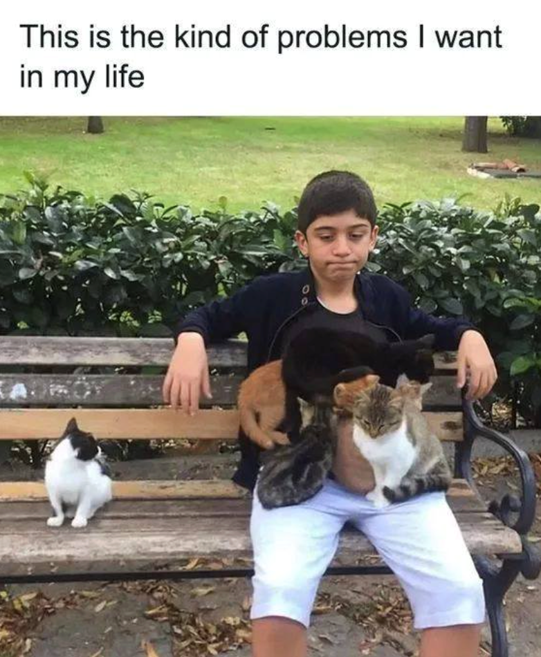 This is the kind of problems I want in my life
