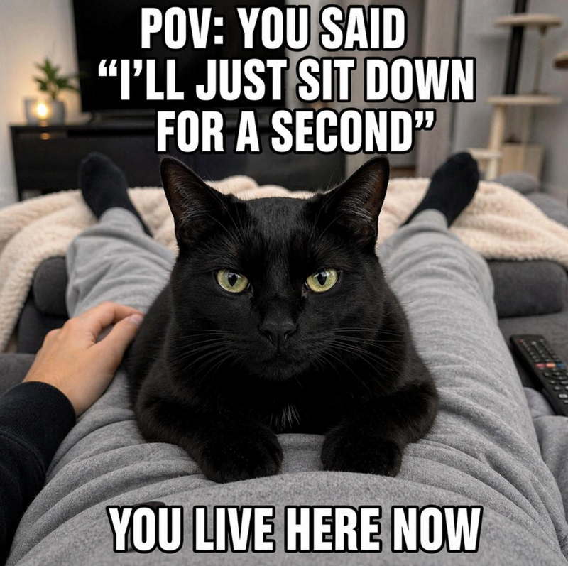 POV: YOU SAID "I'LL JUST SIT DOWN FOR A SECOND" YOU LIVE HERE NOW