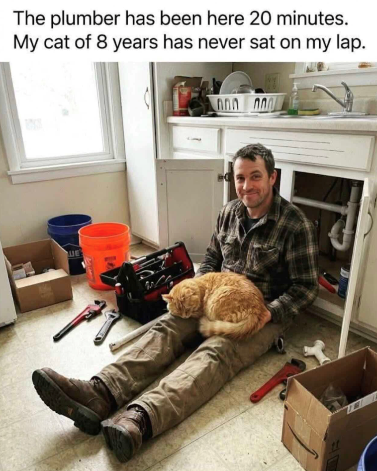 The plumber has been here 20 minutes. My cat of 8 years has never sat on my lap. ШЕЗ nnn