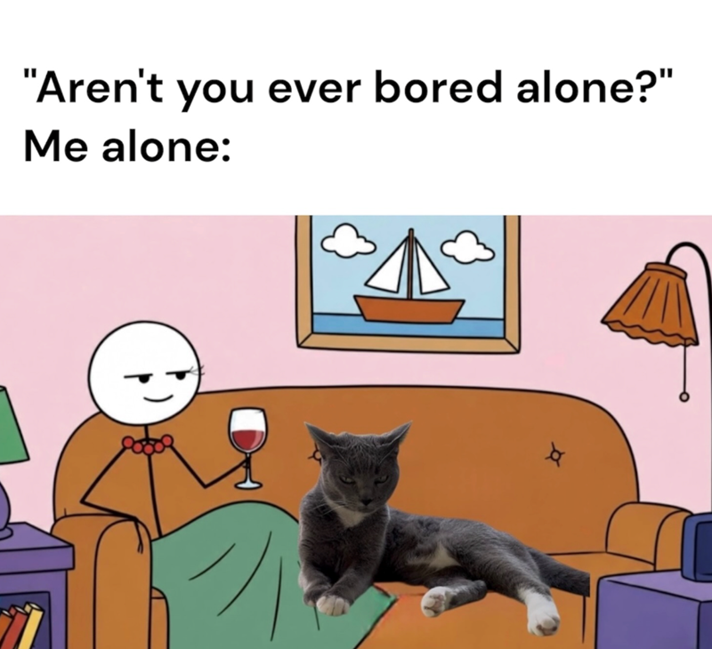"Aren't you ever bored alone?" Me alone: