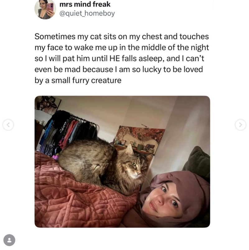 < mrs mind freak @quiet_homeboy Sometimes my cat sits on my chest and touches my face to wake me up in the middle of the night so I will pat him until HE falls asleep, and I can't even be mad because I am so lucky to be loved by a small furry creature >