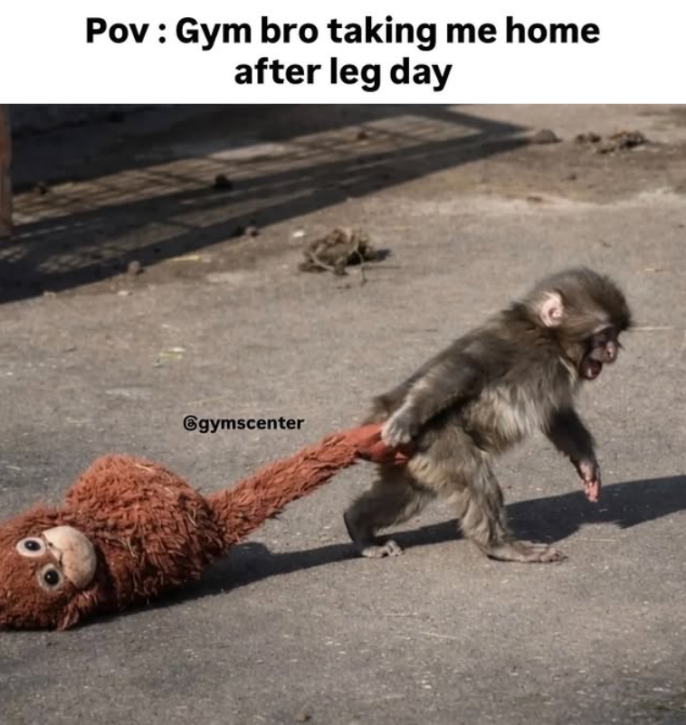 Pov: Gym bro taking me home after leg day @gymscenter