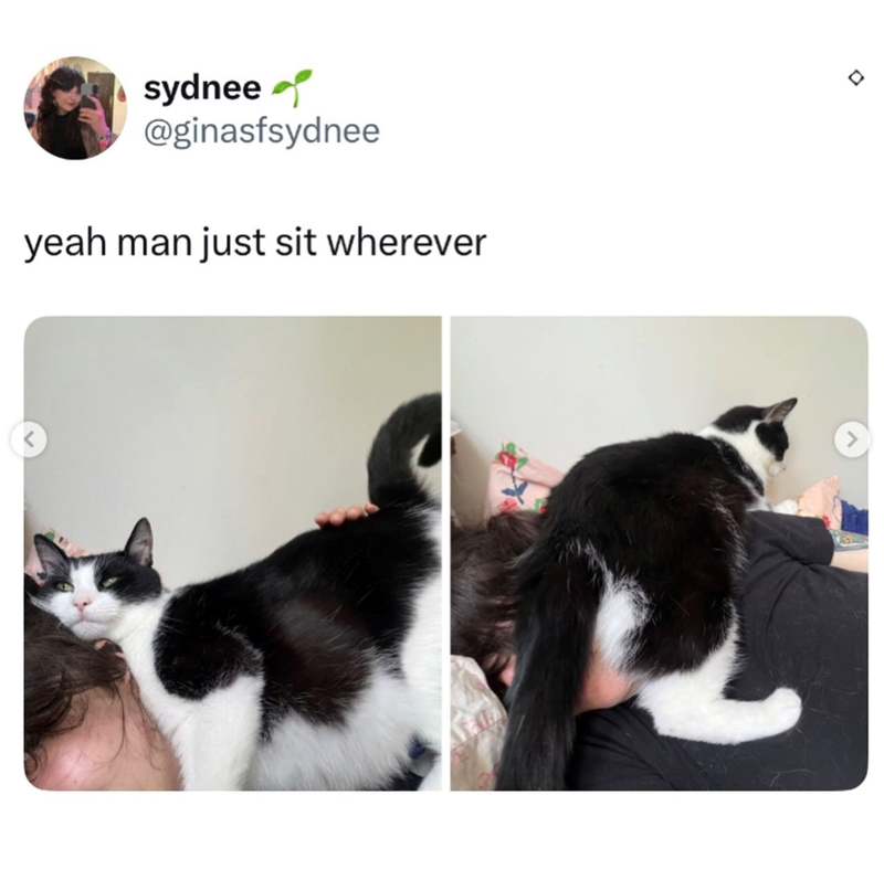 sydnee @ginasfsydnee yeah man just sit wherever > D 口