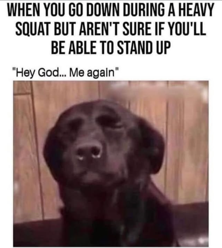 WHEN YOU GO DOWN DURING A HEAVY SQUAT BUT AREN'T SURE IF YOU'LL BE ABLE TO STAND UP "Hey God... Me again"