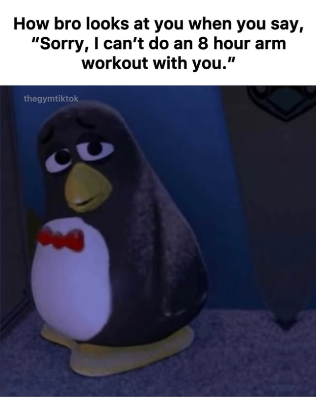 How bro looks at you when you say, "Sorry, I can't do an 8 hour arm workout with you." thegymtiktok C