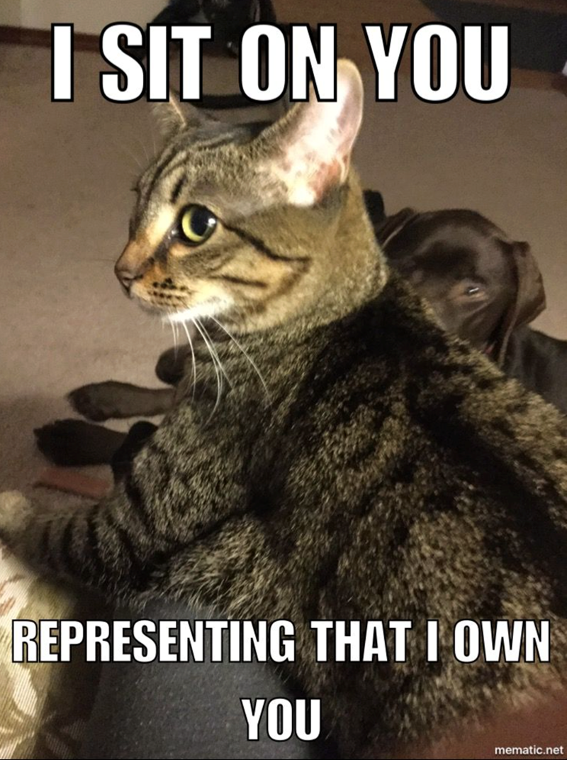 I SIT ON YOU REPRESENTING THAT I OWN YOU mematic.net
