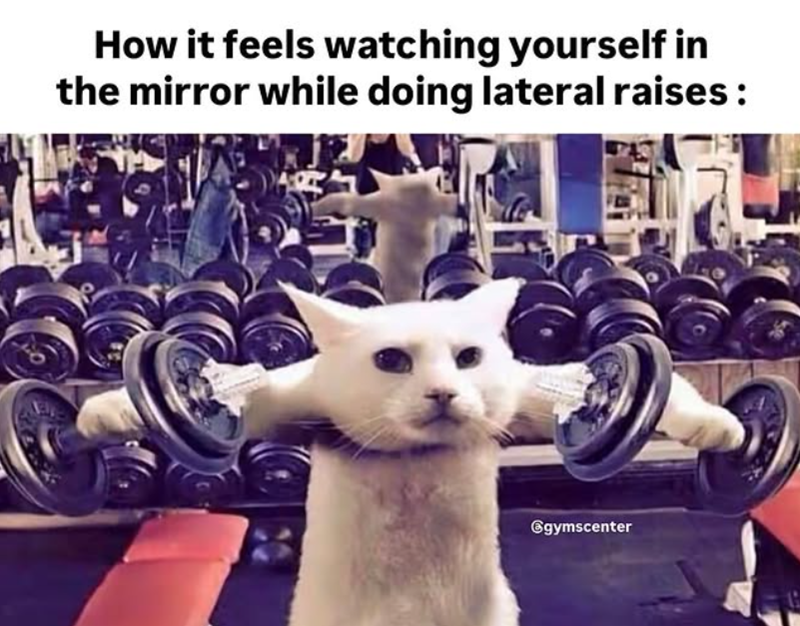 How it feels watching yourself in the mirror while doing lateral raises : @gymscenter