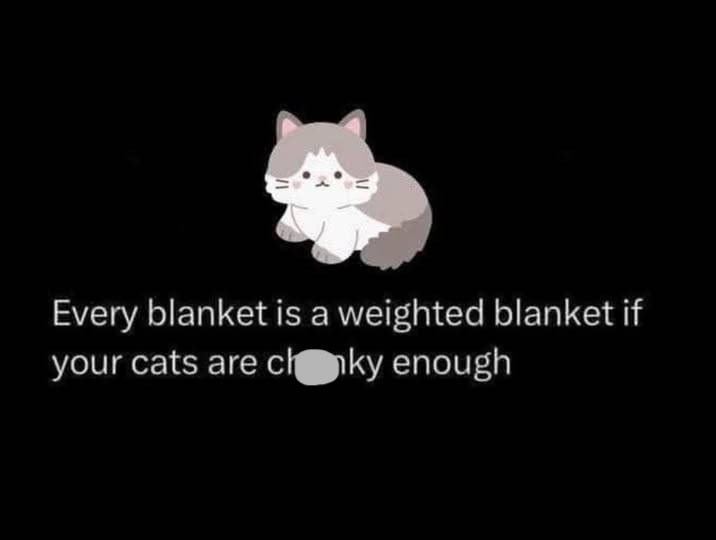 Every blanket is a weighted blanket if your cats are chaky enough