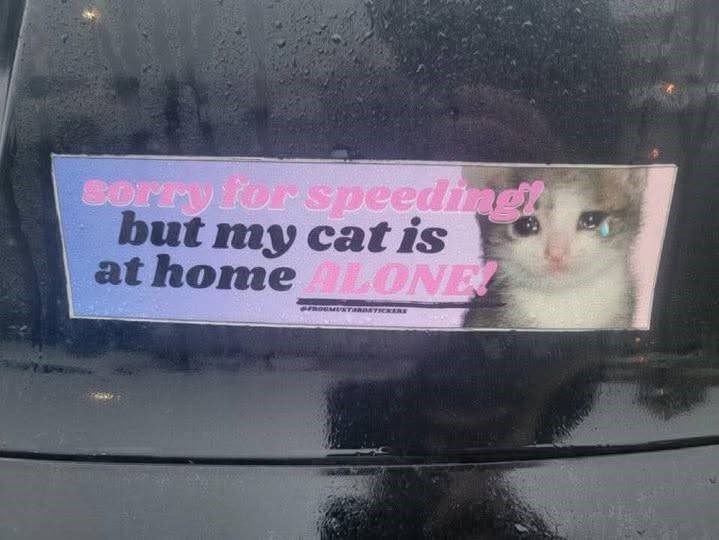 sorry for speeding! but my cat is at home ALONE PROUMUKTARDATICKERS