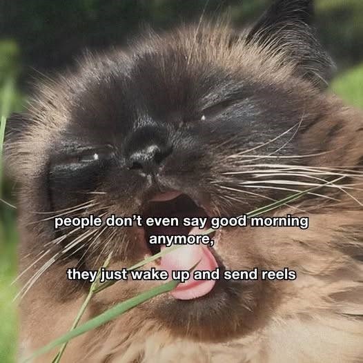 people don't even say good morning anymore, they just wake up and send reels